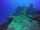 Hawaii Scuba divng 14