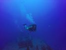 Hawaii Scuba divng 22