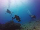 Hawaii Scuba divng 30