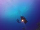 Hawaii Scuba divng 36