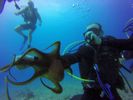 Hawaii Scuba divng 39