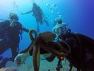 Hawaii Scuba divng 40