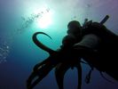 Hawaii Scuba divng 41