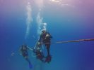 Hawaii Scuba divng 44