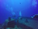 Hawaii Scuba divng 13