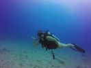 Hawaii Scuba divng 25