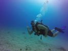 Hawaii Scuba divng 26