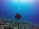 Hawaii Scuba divng 28