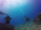 Hawaii Scuba divng 31