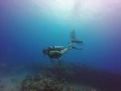 Hawaii Scuba divng 33