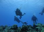 Hawaii Scuba divng 47