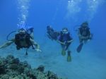 Hawaii Scuba divng 48