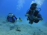 Hawaii Scuba divng 51