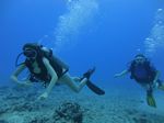 Hawaii Scuba divng 52