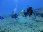 Hawaii Scuba divng 53