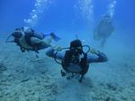 Hawaii Scuba divng 56