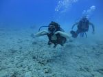 Hawaii Scuba divng 57