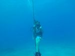 Hawaii Scuba divng 11