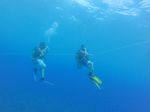 Hawaii Scuba divng 13