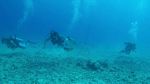 Hawaii Scuba divng 15