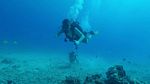 Hawaii Scuba divng 17