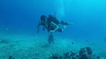 Hawaii Scuba divng 18