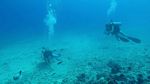 Hawaii Scuba divng 19