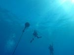 Hawaii Scuba divng 01