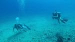 Hawaii Scuba divng 20