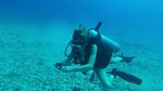 Hawaii Scuba divng 22