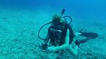 Hawaii Scuba divng 23