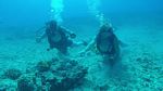 Hawaii Scuba divng 28