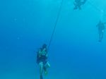 Hawaii Scuba divng 02