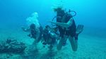 Hawaii Scuba divng 31