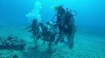 Hawaii Scuba divng 32