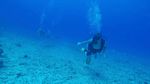 Hawaii Scuba divng 34