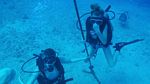 Hawaii Scuba divng 35