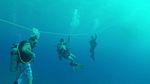 Hawaii Scuba divng 36