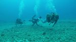 Hawaii Scuba divng 40