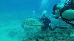 Hawaii Scuba divng 51