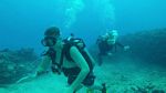 Hawaii Scuba divng 58