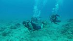 Hawaii Scuba divng 59