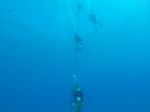 Hawaii Scuba divng 05