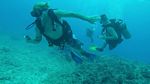 Hawaii Scuba divng 61