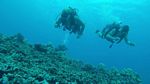 Hawaii Scuba divng 63