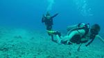 Hawaii Scuba divng 65