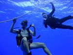 Hawaii Scuba divng 15