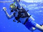 Hawaii Scuba divng 16