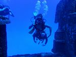 Hawaii Scuba divng 28