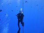 Hawaii Scuba divng 47